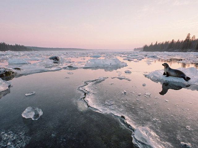Где самое красивое место в России: 7 мест, которые оставят вас без слов