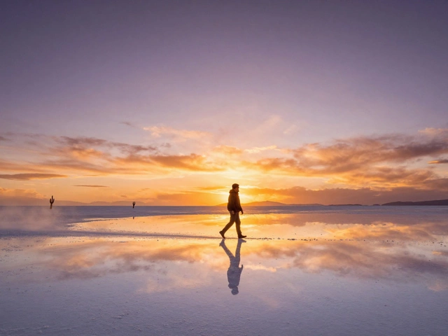 Какие есть сферы туризма: полный обзор направлений и их особенности