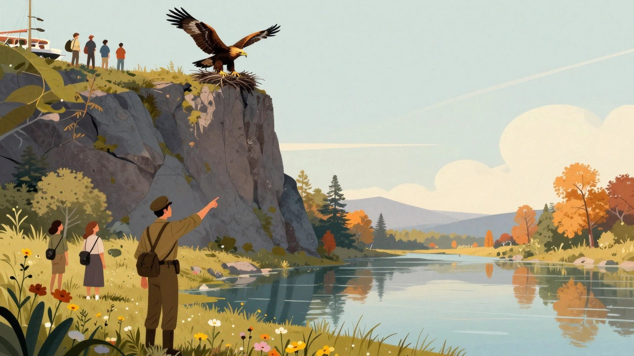 Группа туристов наблюдает за орлами с лодки на безопасном расстоянии, река спокойно отражает закат.