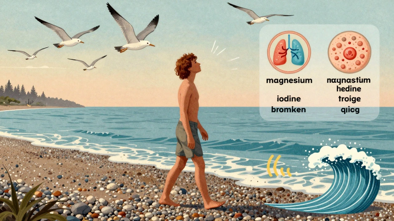 Схематичный образ терапии морем: человек идёт по берегу, а вокруг него — минералы и волны, влияющие на тело.
